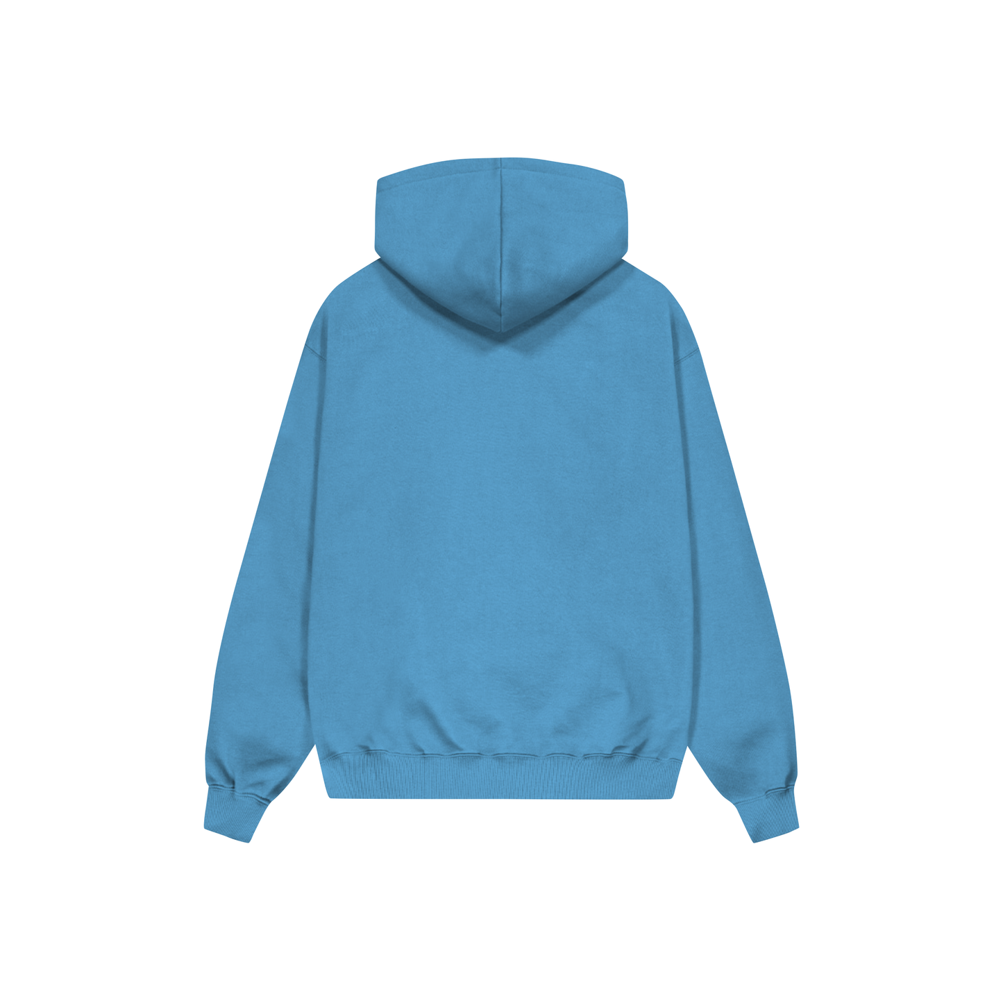 Carolina Trust God Hoodie